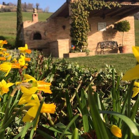 Bed and Breakfast Casale Delle Rondini Tolentino Exteriér fotografie