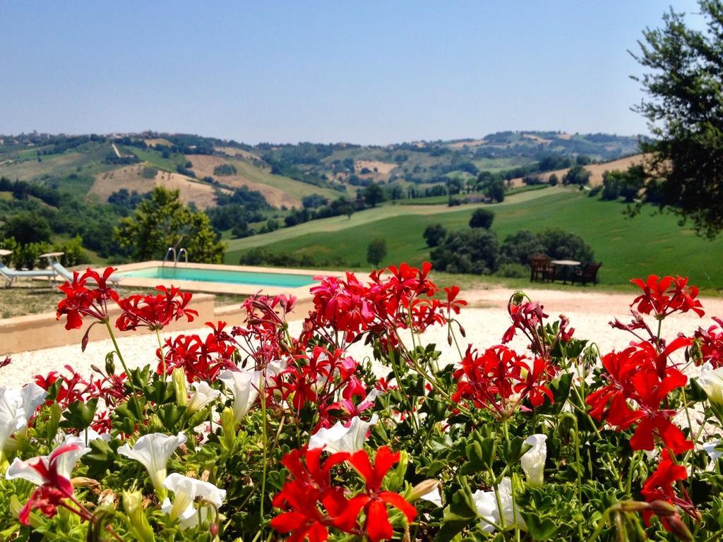 Bed and Breakfast Casale Delle Rondini Tolentino Exteriér fotografie