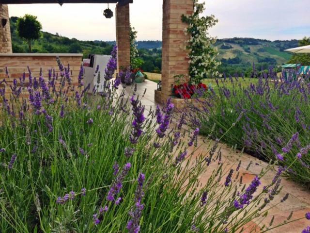 Bed and Breakfast Casale Delle Rondini Tolentino Exteriér fotografie