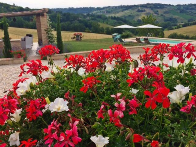 Bed and Breakfast Casale Delle Rondini Tolentino Exteriér fotografie