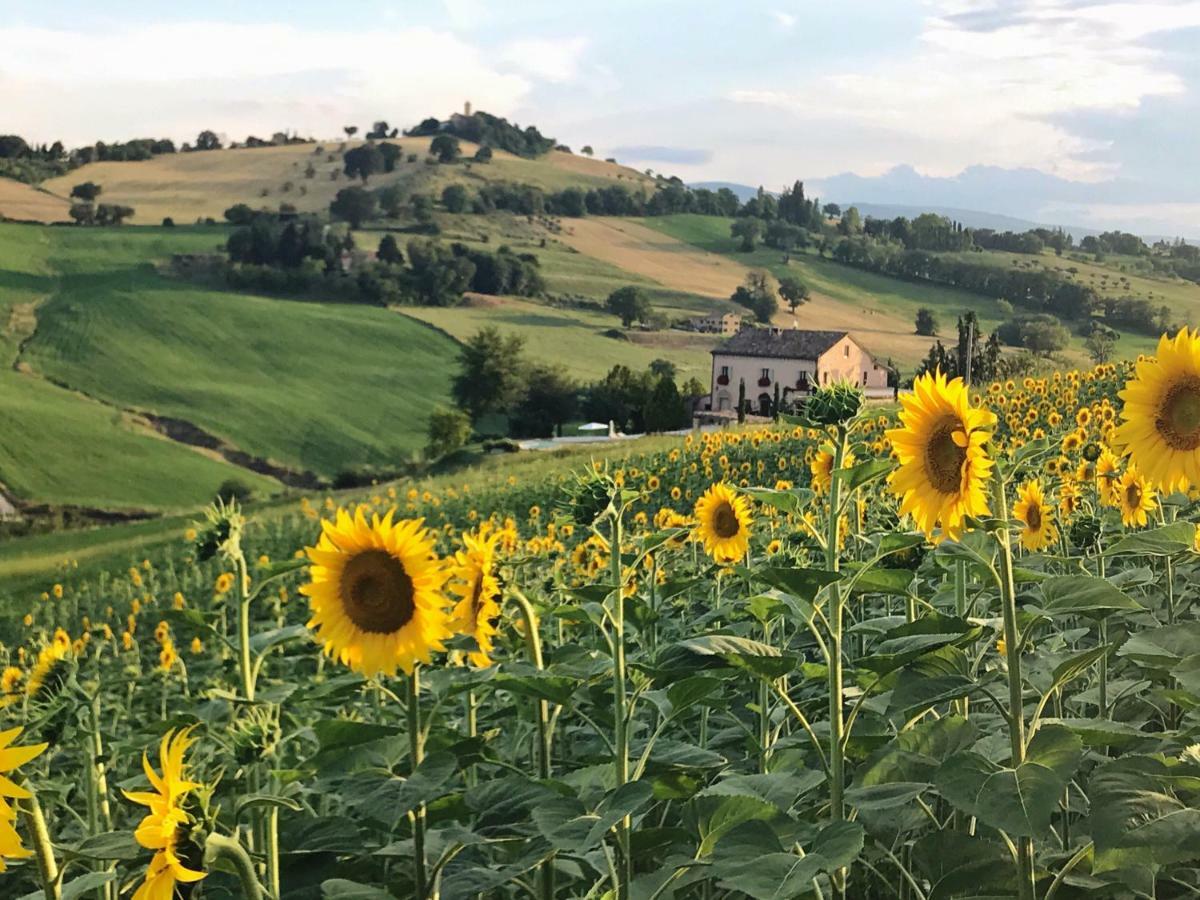 Bed and Breakfast Casale Delle Rondini Tolentino Exteriér fotografie